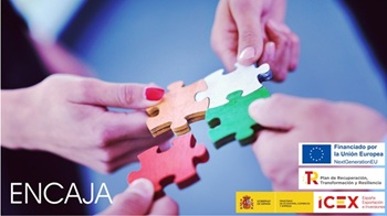  ADAPTACIÓN AL ENTORNO - ICEX VIVES